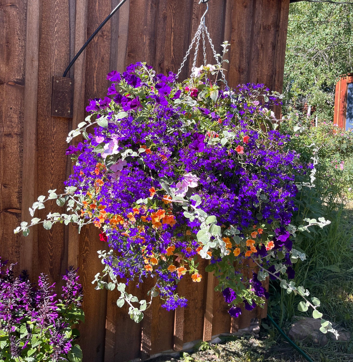 English Garden Hanging Basket (part shade)