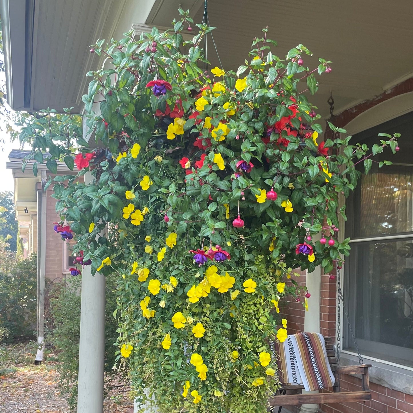 Drape Shade Hanging Basket