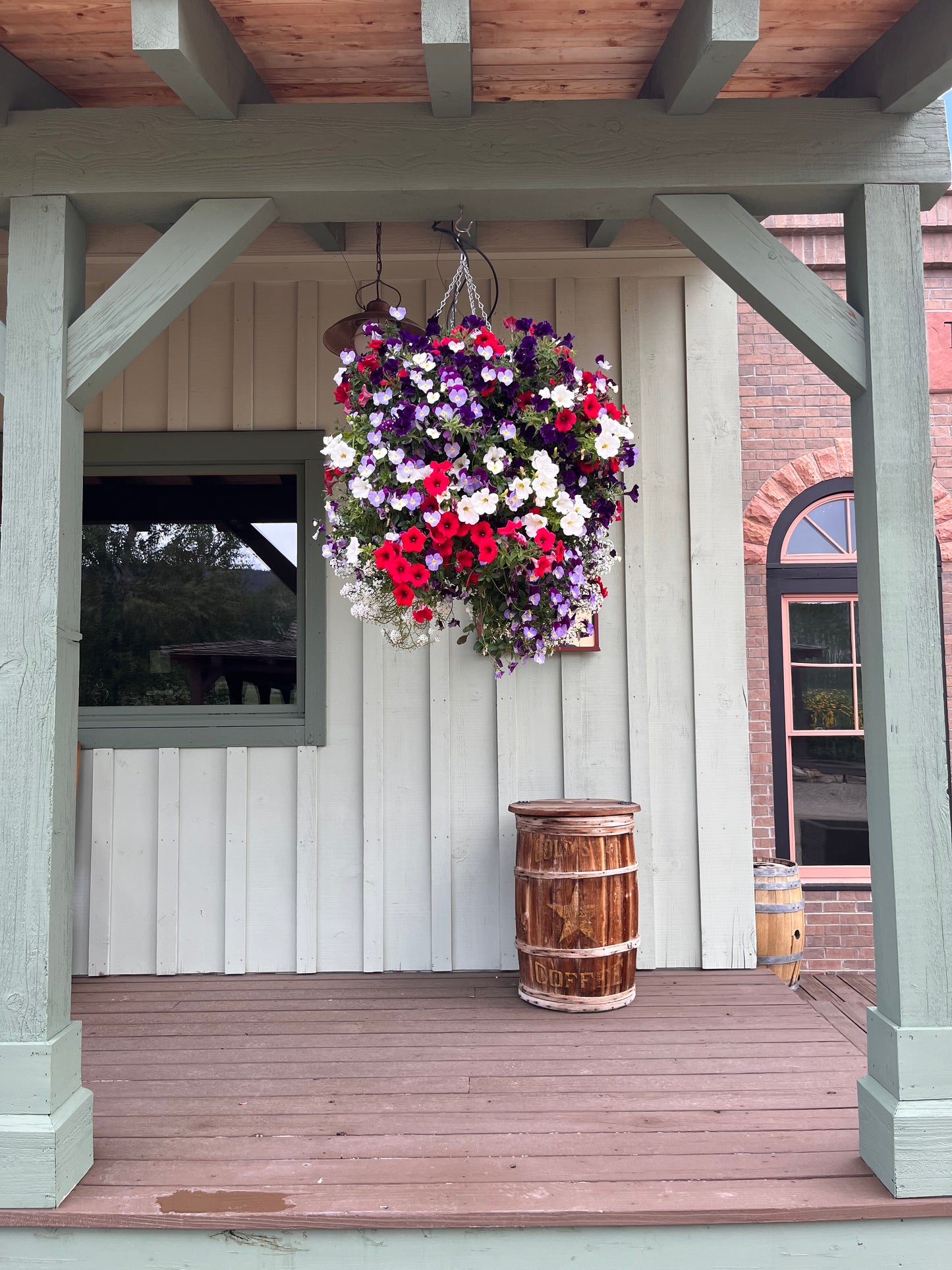 Red White and Blue Wild Mix Hanging Basket