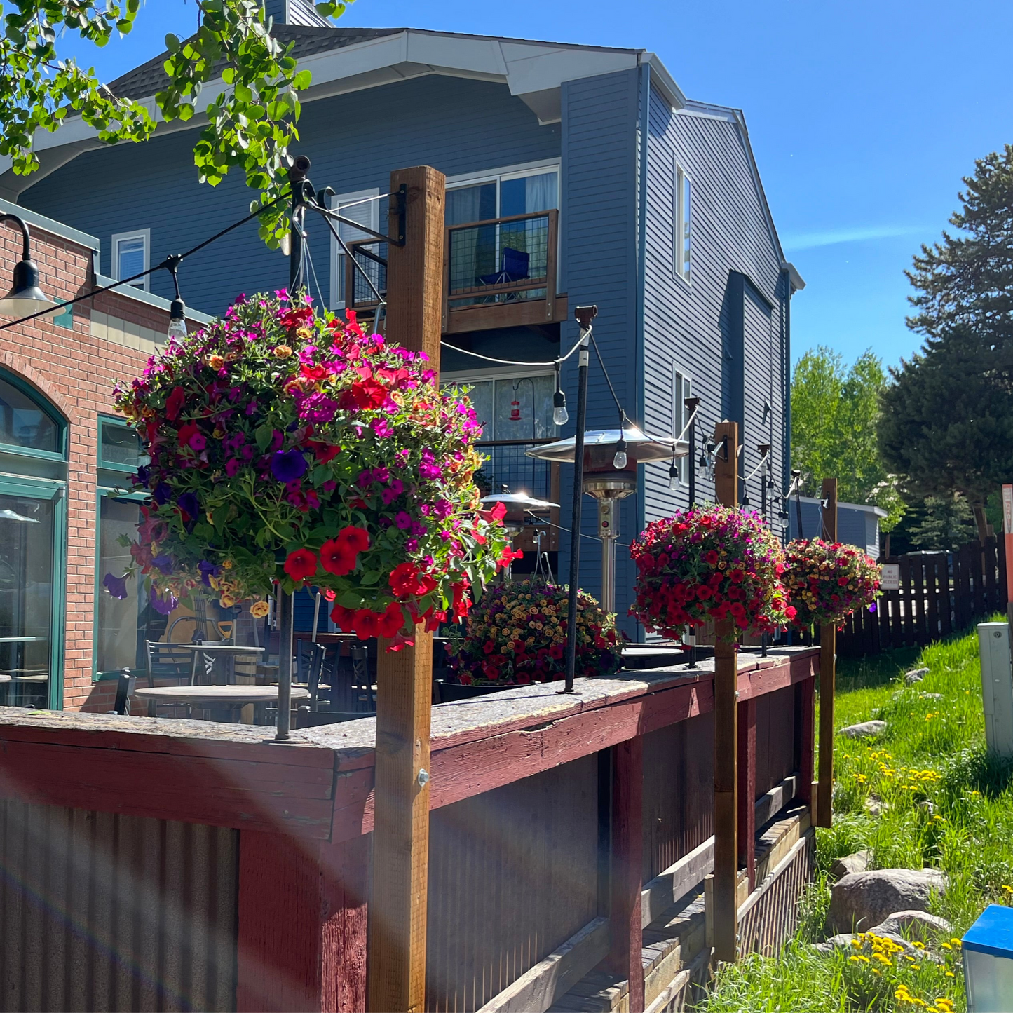 Bright Velvet Hanging Basket