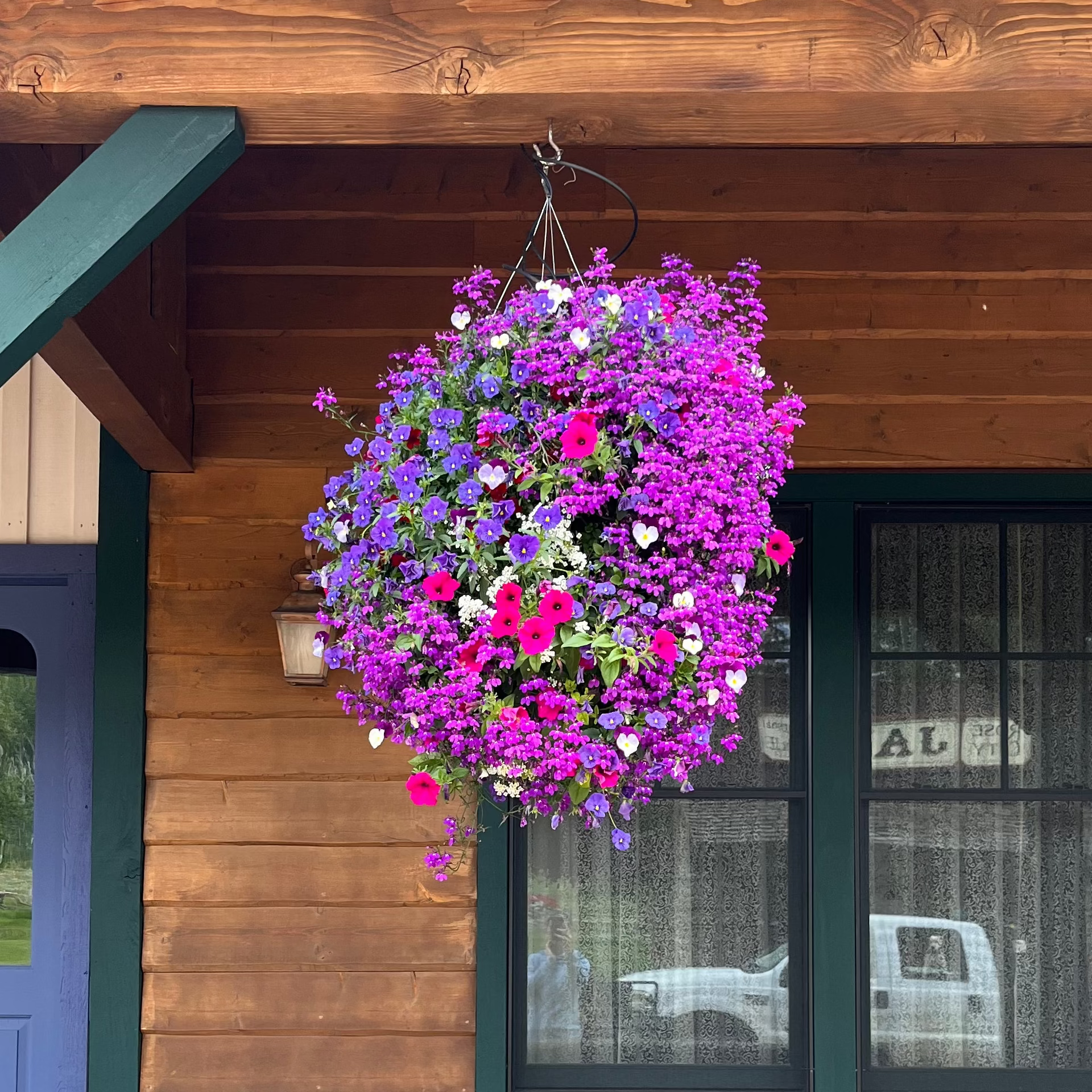 The Wild – Colorado Flower Baskets