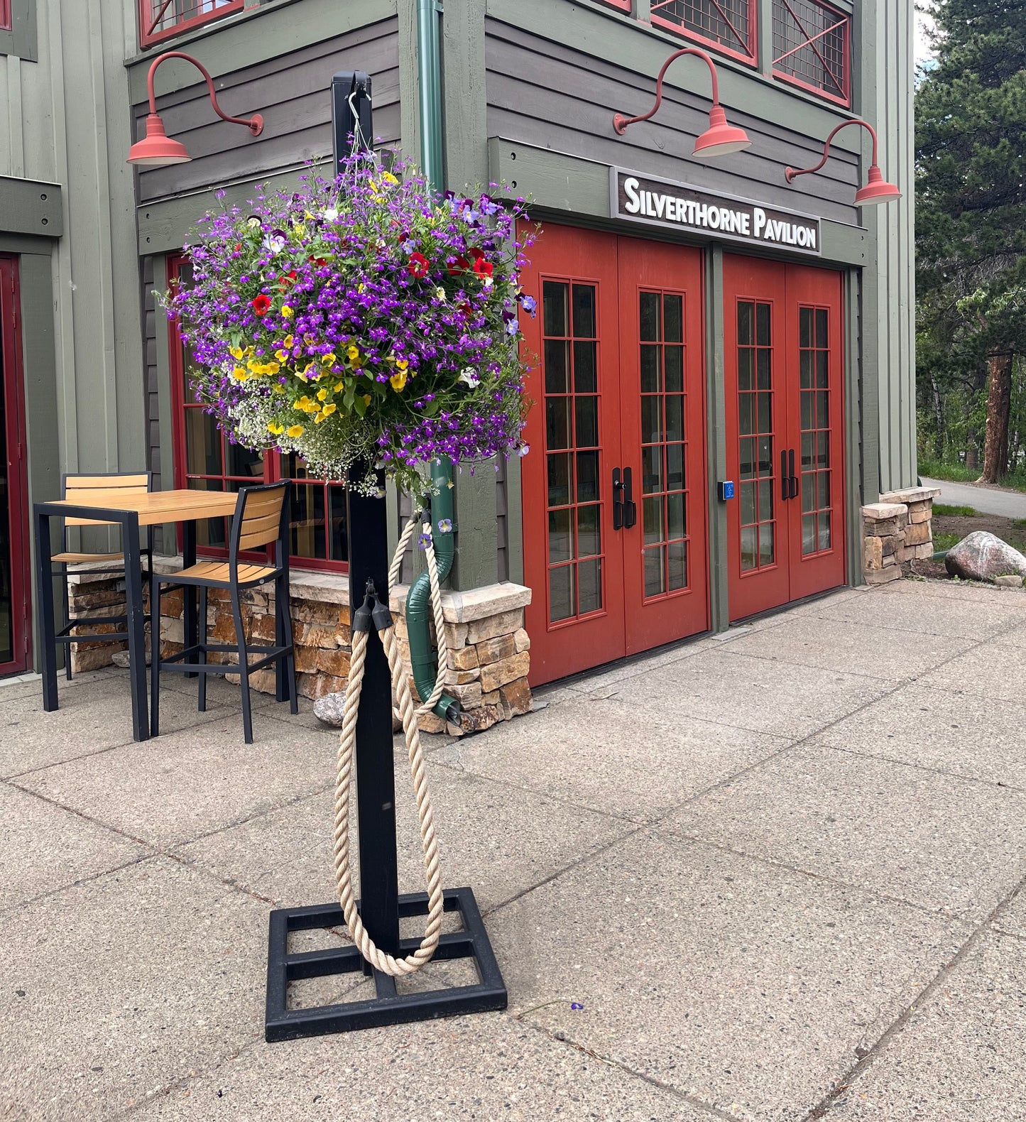 Wild Colorado Basket