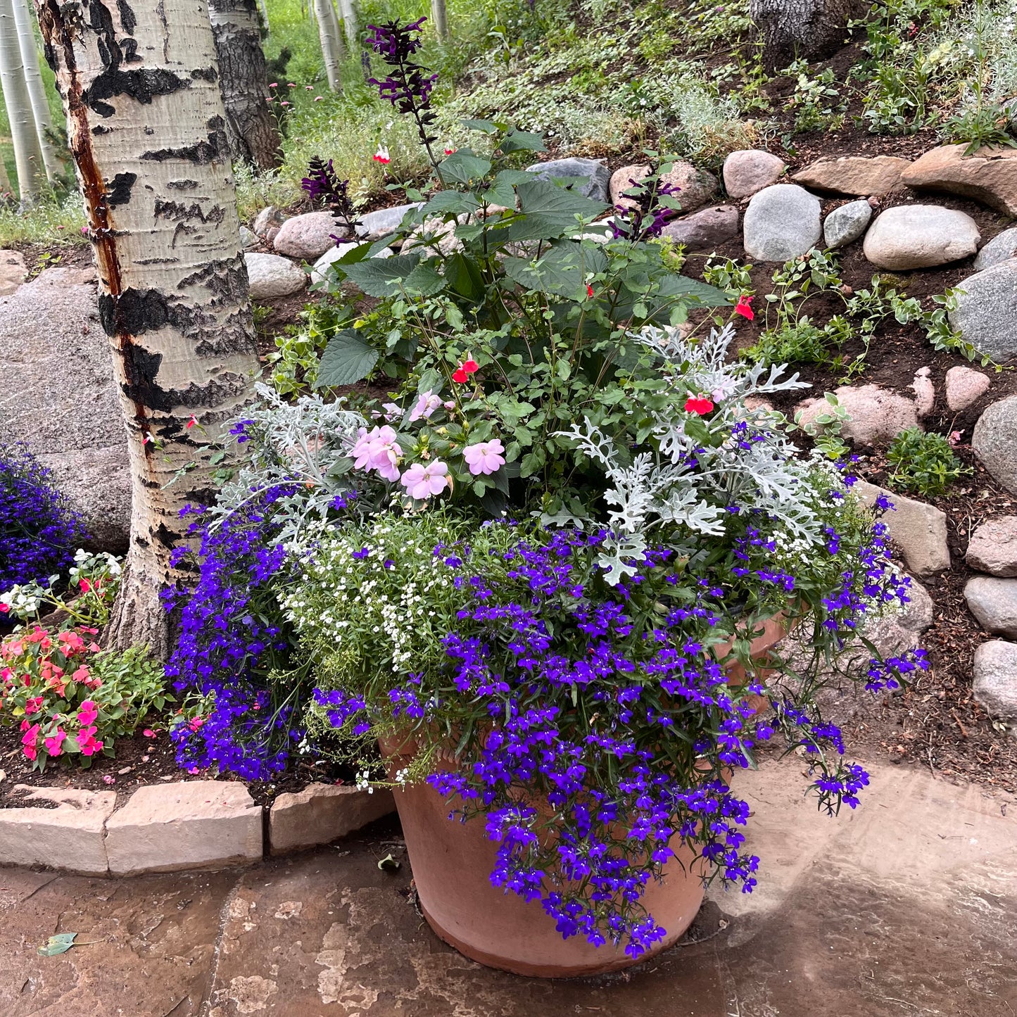 Pots