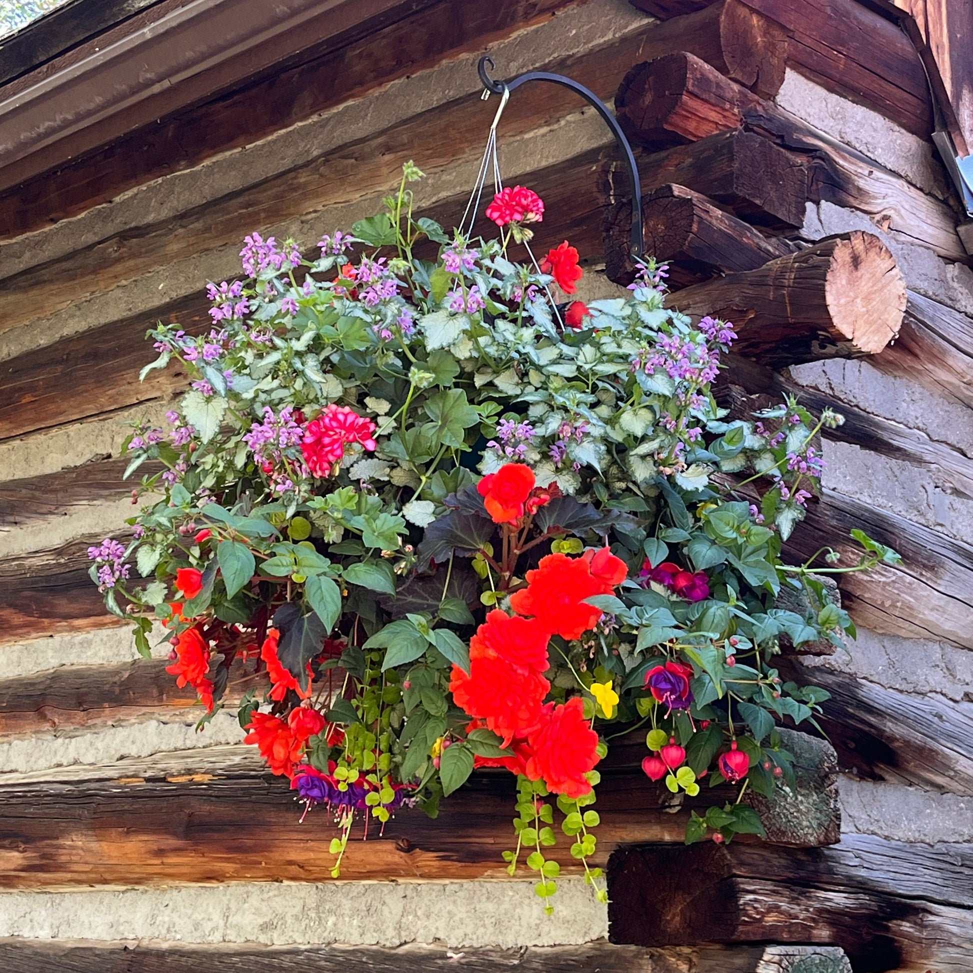part shade hanging basket plants Drape Shade