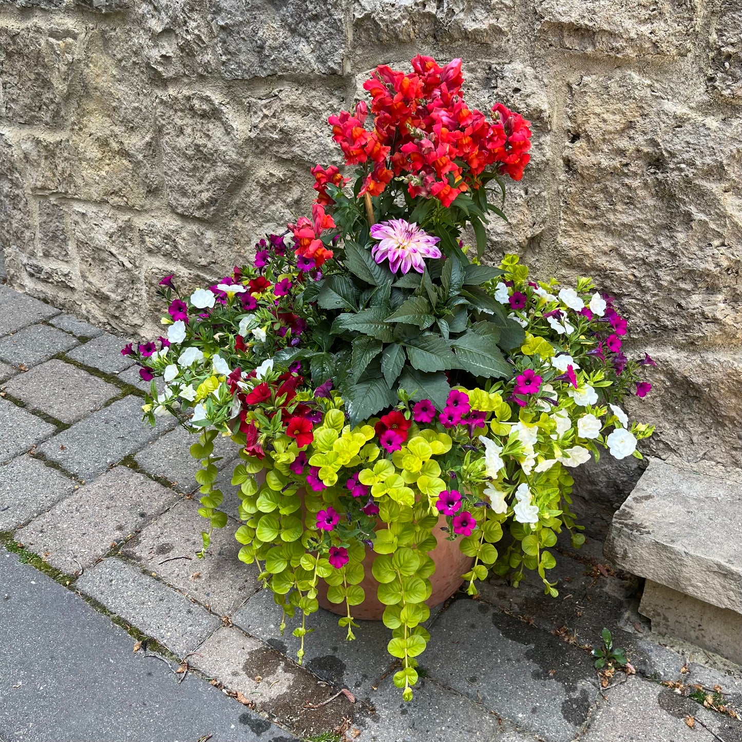 Pots