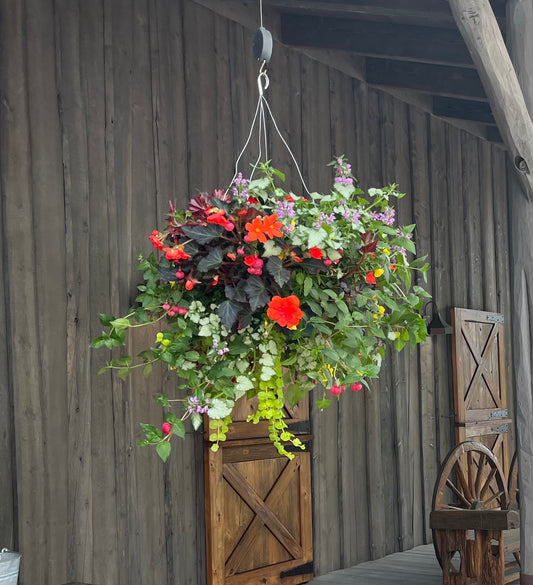 Drape Shade Hanging Basket