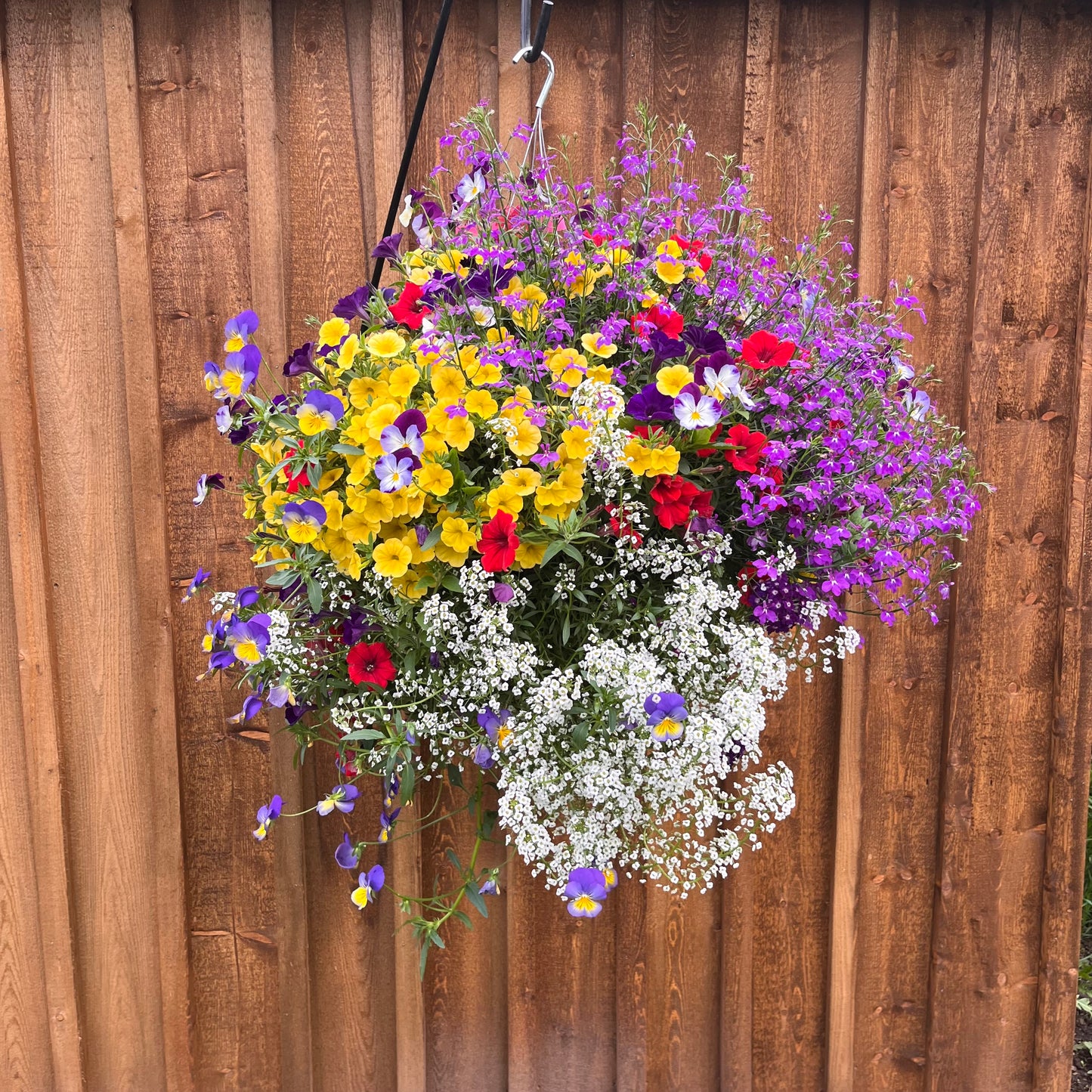 Wild Colorado Basket