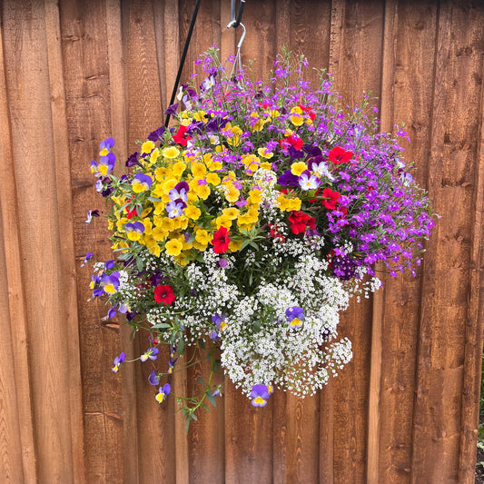 Wild Colorado Basket