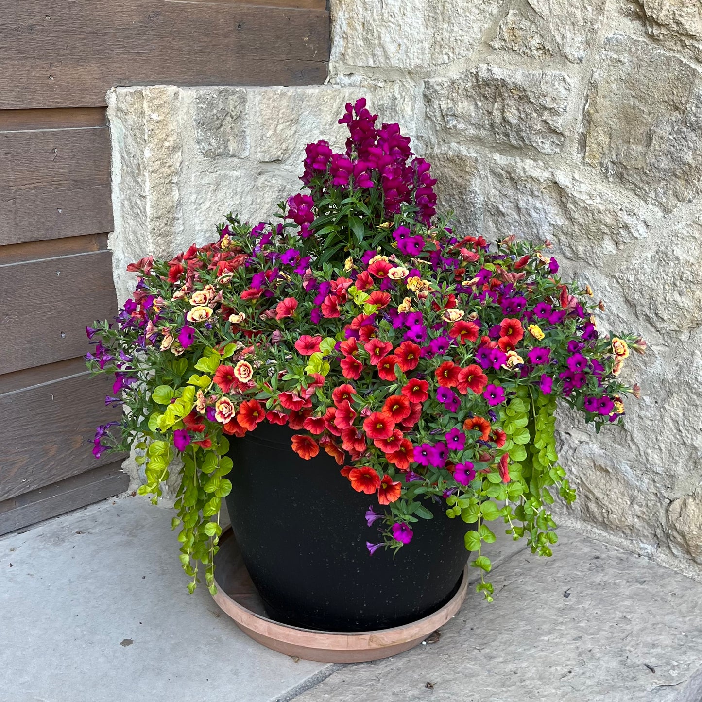 Pots