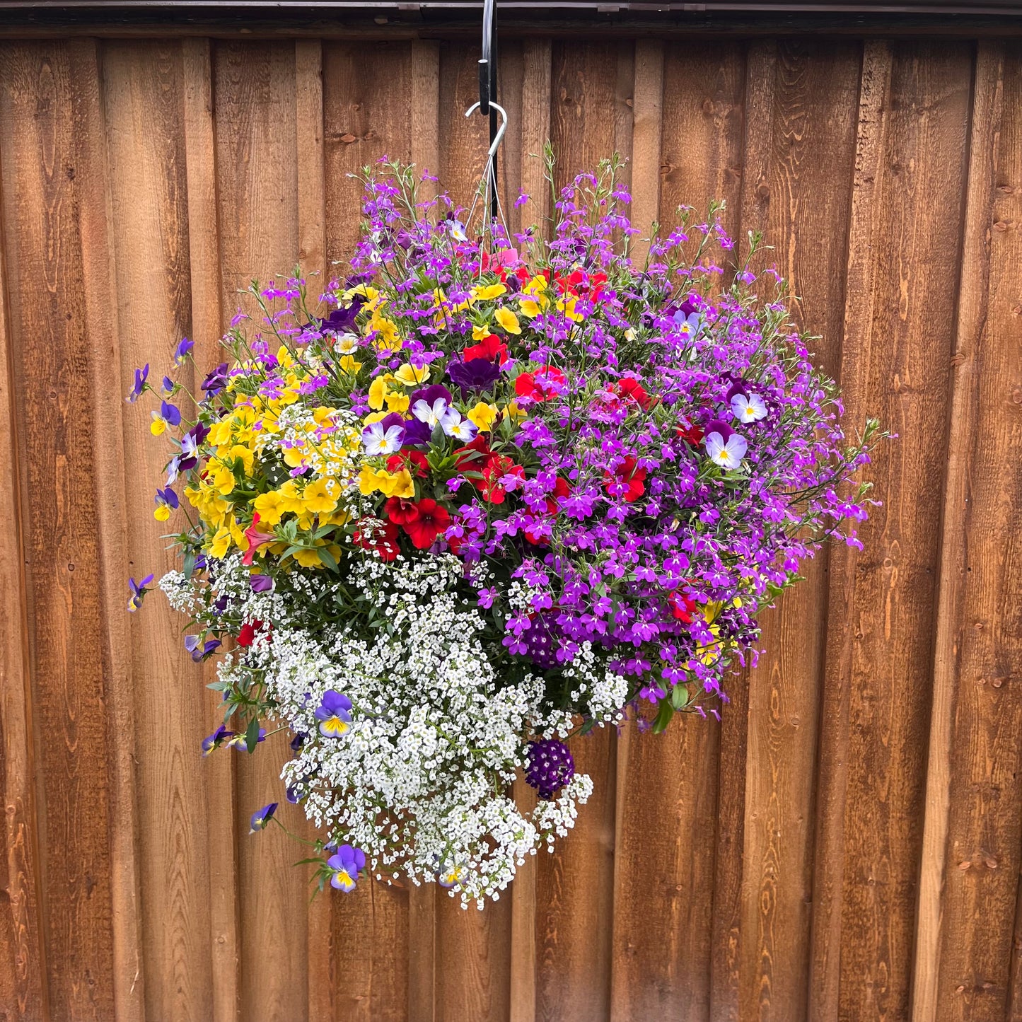 Wild Colorado Basket