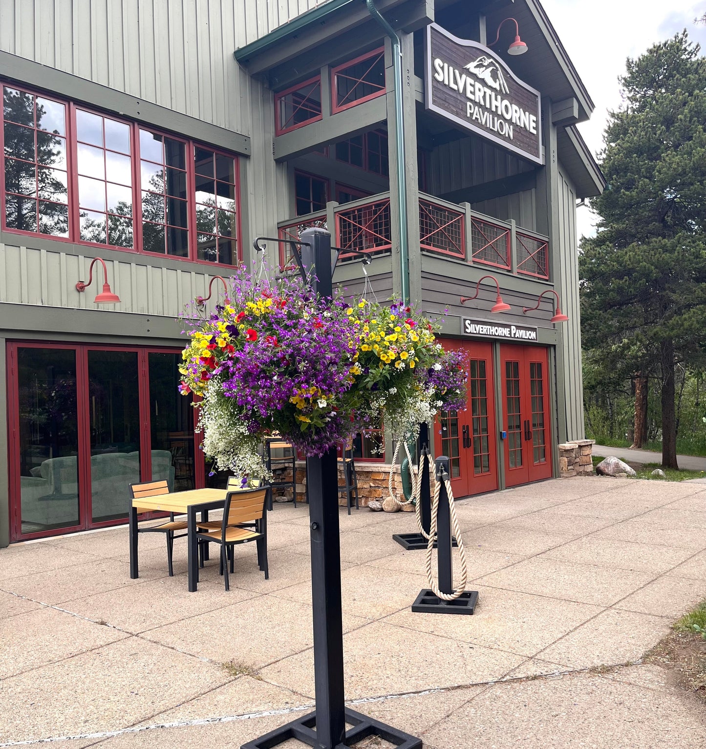 Wild Colorado Basket