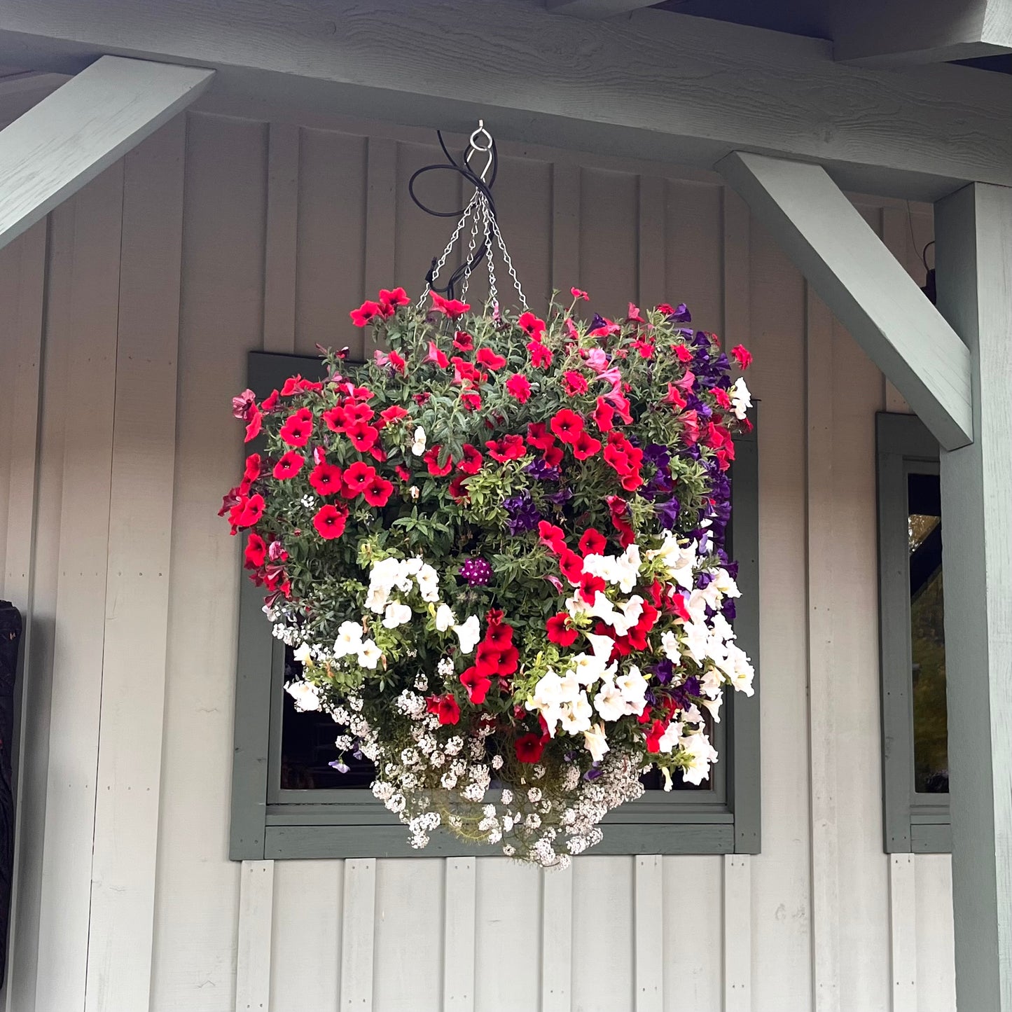 Red White and Blue Wild Mix Hanging Basket