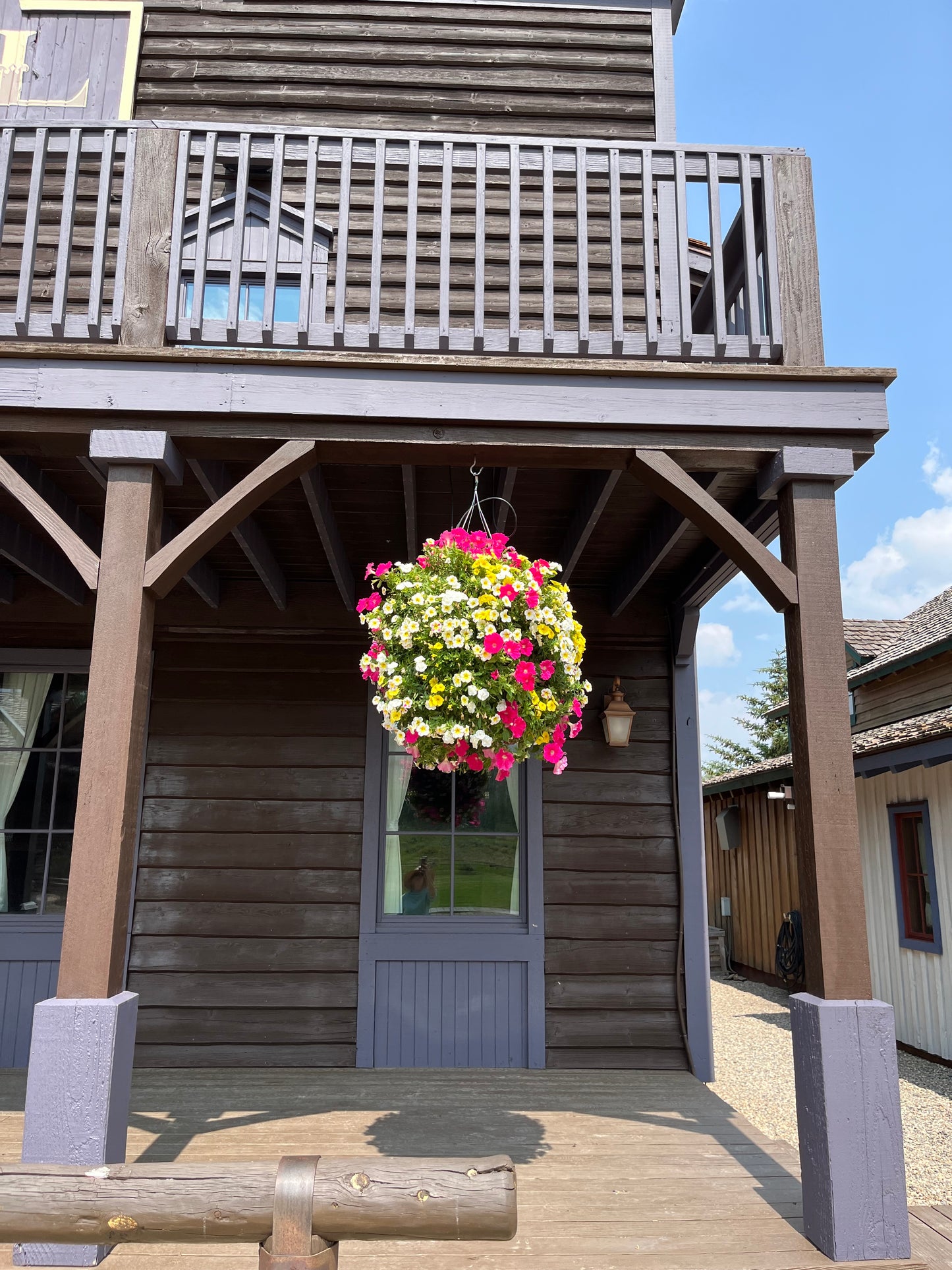 Holy Cow Hanging Basket