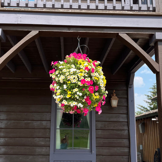 Holy Cow Hanging Basket