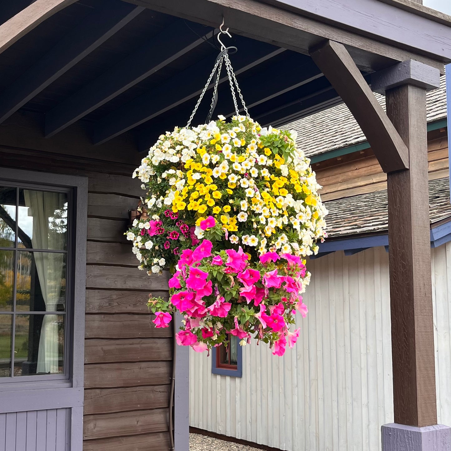 Holy Cow Hanging Basket