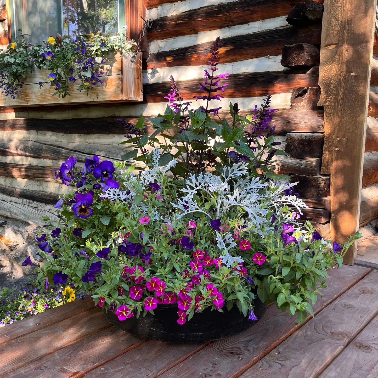 Pots