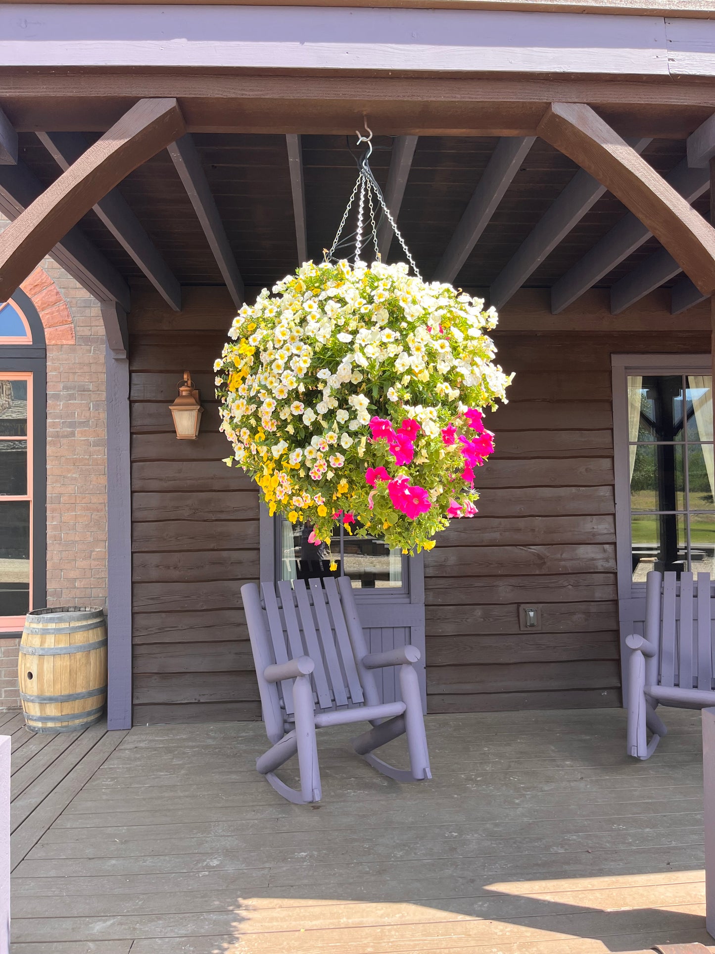 Holy Cow Hanging Basket