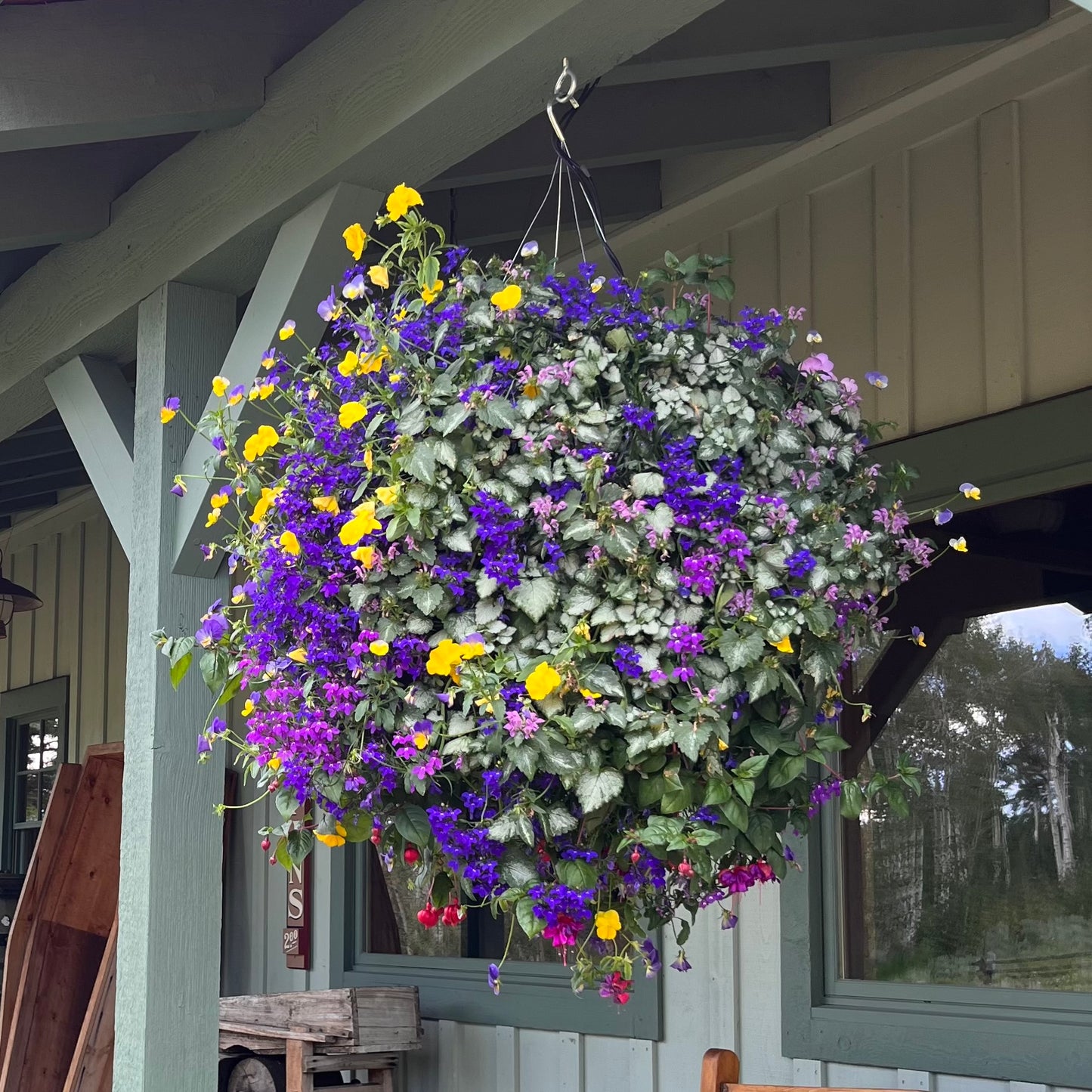 Bright Shade Hanging Basket