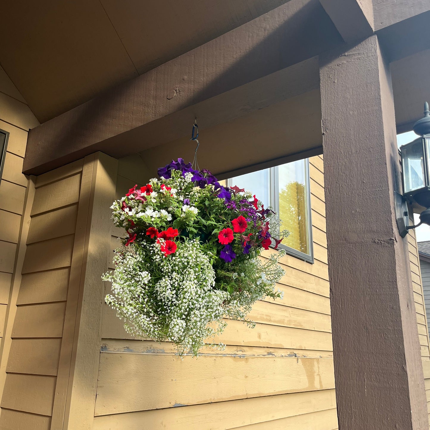 Red White and Blue Wild Mix Hanging Basket