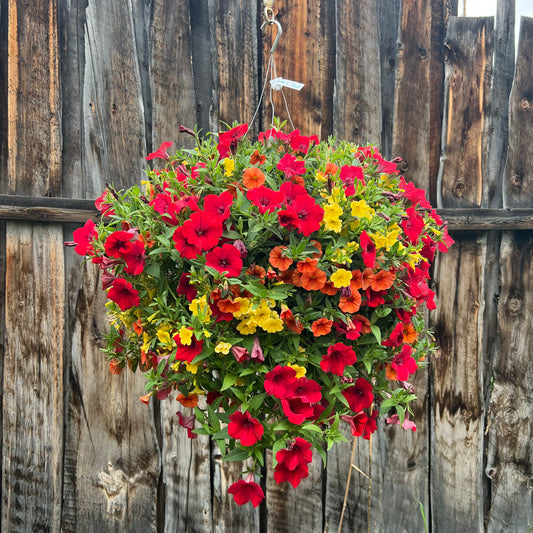 Warm 2 Hanging Basket