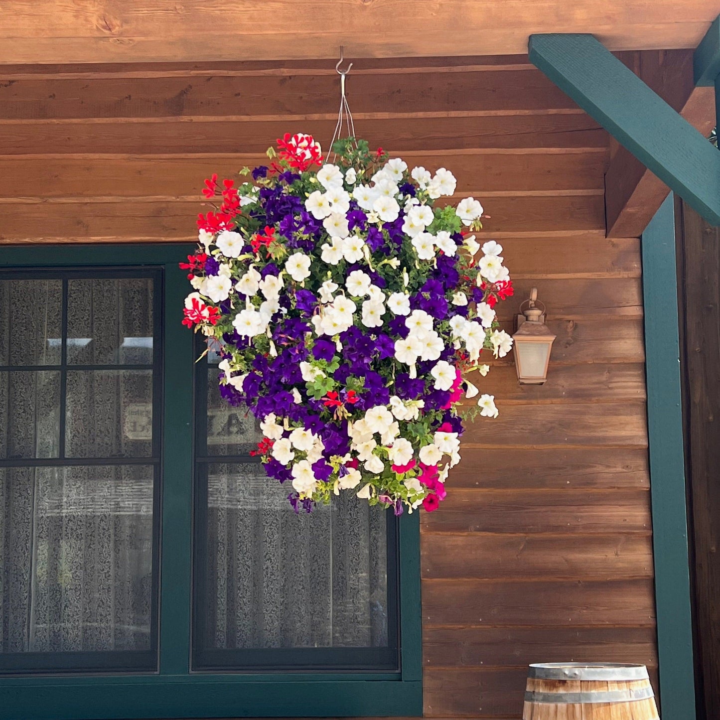 Red White and Blue Hanging Basket - 2 variations