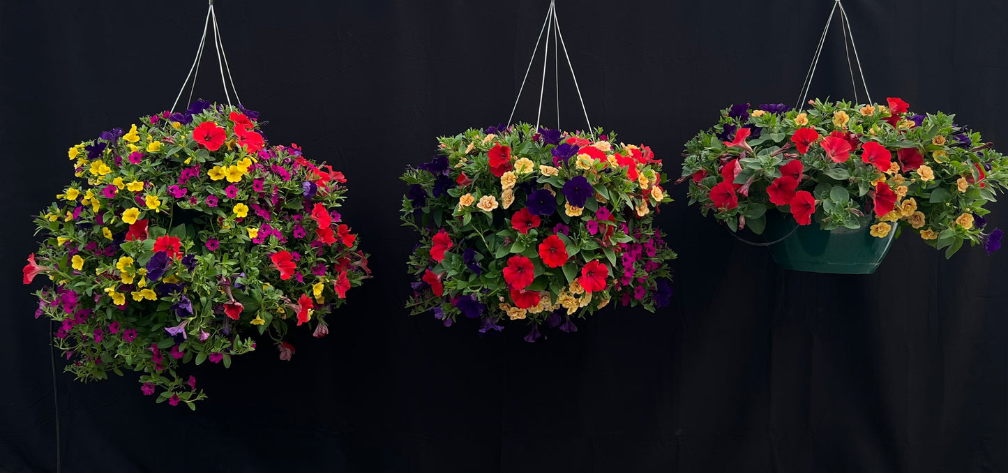 Bright Velvet Hanging Basket