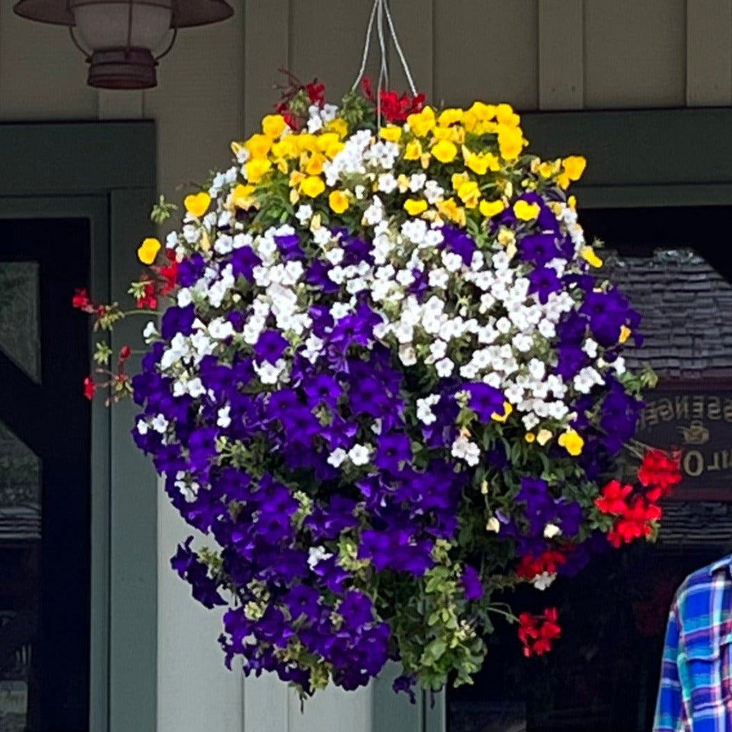 Colorado Basket